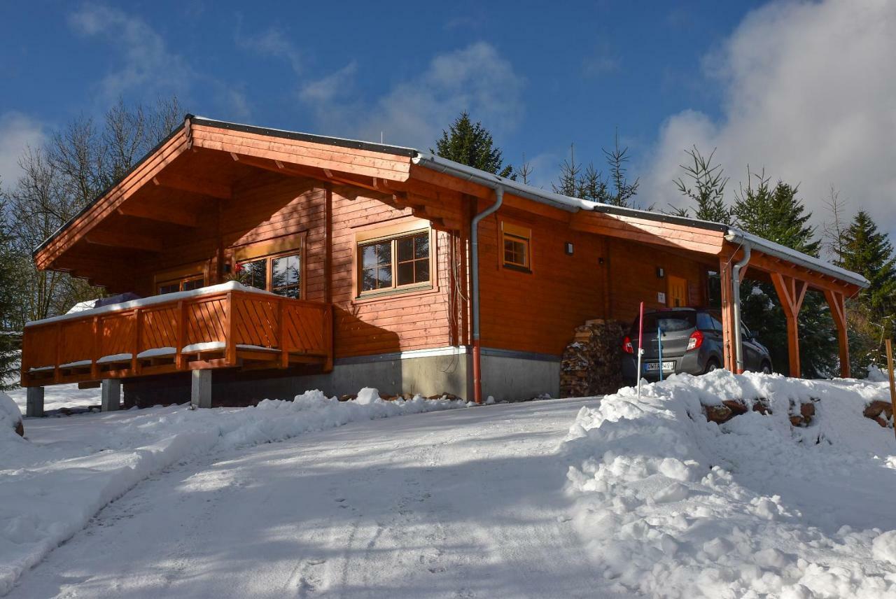 Erzgebirgsholzhaus Am Lugstein Villa Altenberg  Exterior foto